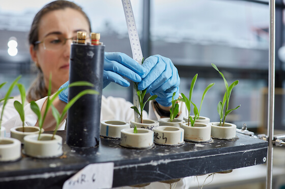 Laboratoř chemických sanačních procesů CXI TUL