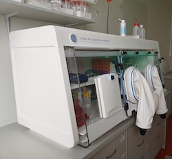 Anaerobní rukávový box