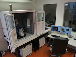 Mikroskop s rastrující sondou JPK Nanowizard 3