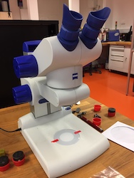 Optický stereo mikroskop Stemi DV4