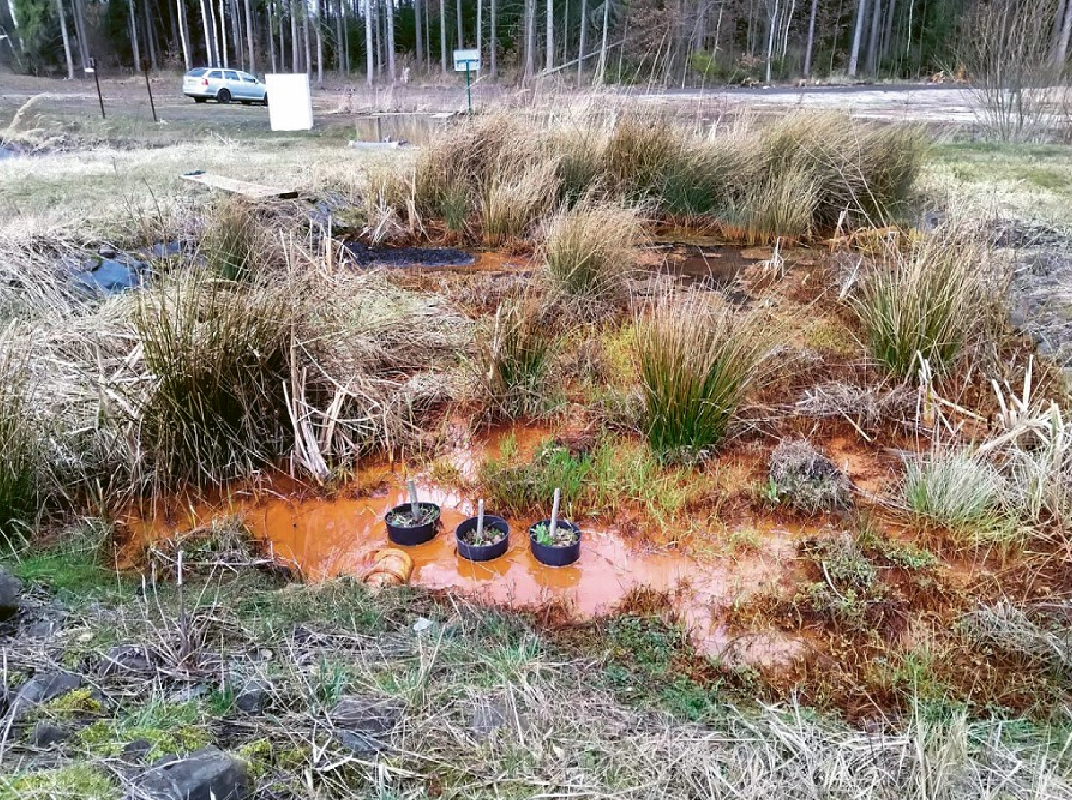 Vložte obrázek 167x167