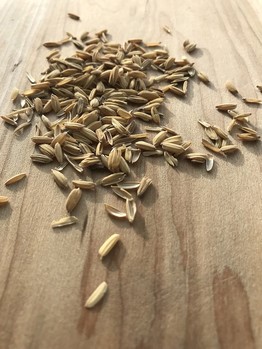 Vložte obrázek 167x167